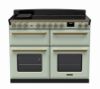 Rangemaster 18171 Deluxe 110 Induction Range Cooker in Mint with Antique Brass Trim - ESDLB110EIPMNT/AB1_main
