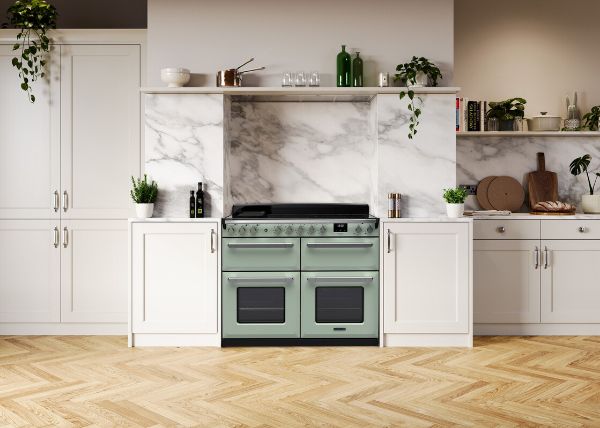 Rangemaster 18171 Deluxe 110 Induction Range Cooker in Mint with Antique Brass Trim - ESDLB110EIPMNT/AB1_room view