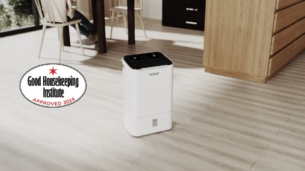 EcoAir DD2 SIMPLE Desiccant Dehumidifier_room view