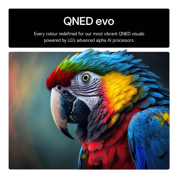 LG 65QNED85A6C.AEK 65" 4K QNED evo Smart TV_visuals