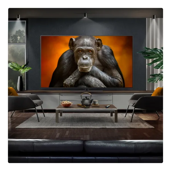 LG OLED evo AI G5 65" 4K Smart TV_view