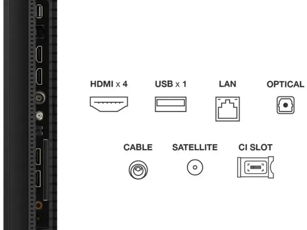 TCL 50C6KS-UK 50" 4K Ultra HD QD-Mini LED TV _ports