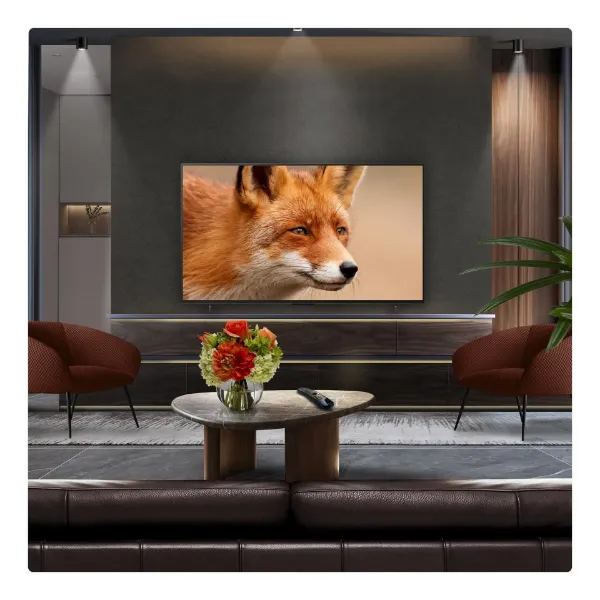 LG OLED42C55LA.AEK 42" 4K Ultra HD OLED evo AI C5 Smart TV_room view