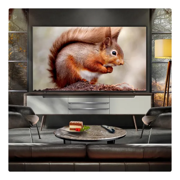 LG OLED83B56LA.AEK 83" 4K Ultra HD OLED AI B5 Smart TV_room view