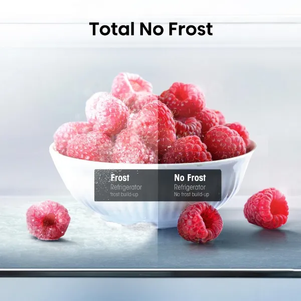 Hisense RS840N4WFE 60/40 91cm Frost Free American Fridge Freezer - Black Stainless Steel_total no frost