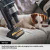 Samsung VS20C8522TN/EU Samsung Jet 85 Cordless Vacuum Cleaner with Pet Tool+ - 60 Minutes Run Time - Woody Green